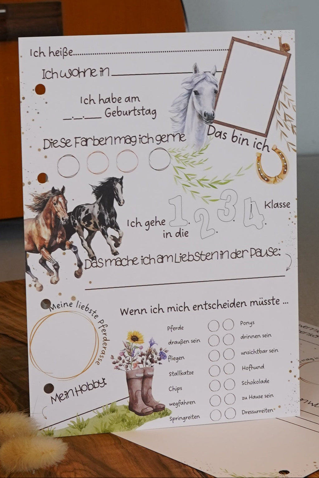 Starter-Set Grundschule